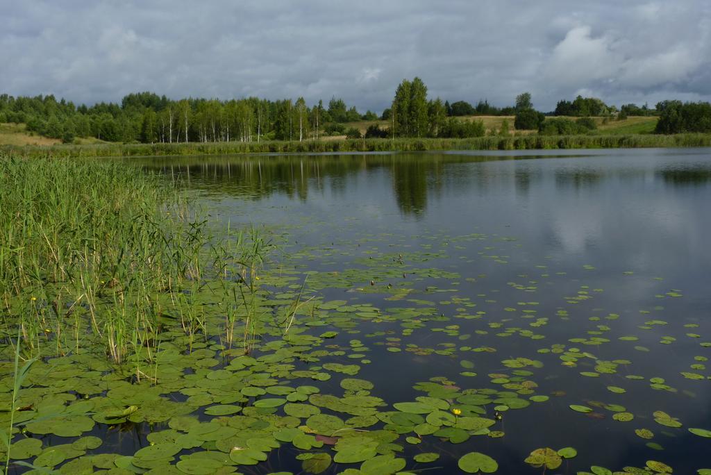 Piekalne Kalniesi Quarto foto